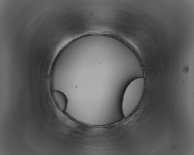 X0000091671471200708231003