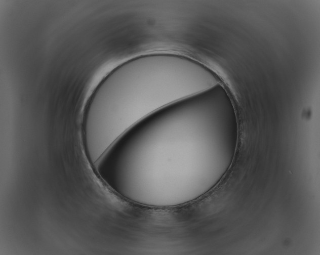 X0000091671472200708231003