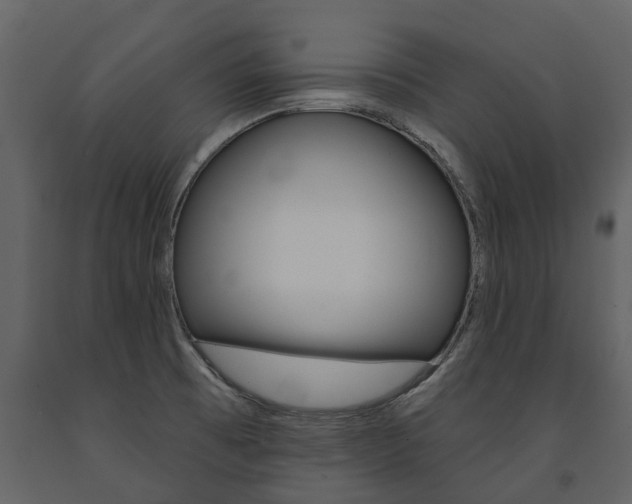 X0000091671473200708231002