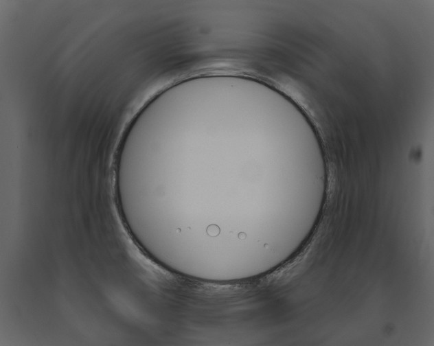 X0000091671474200708231002