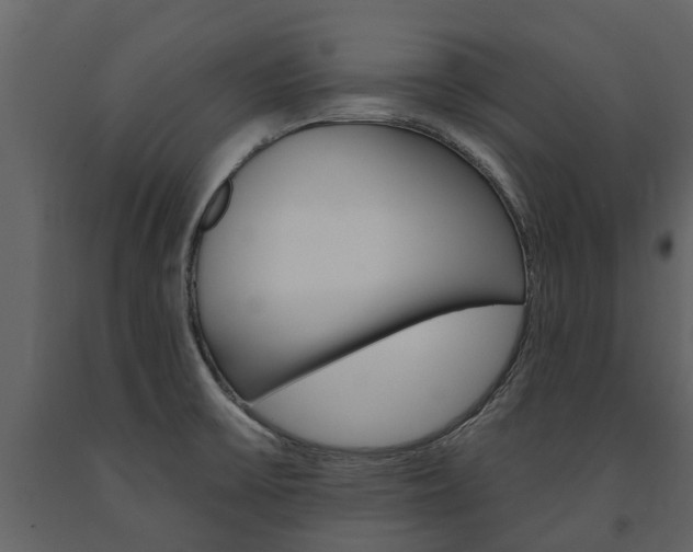 X0000091671475200708231002