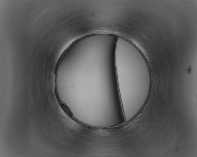 X0000091671476200708231002