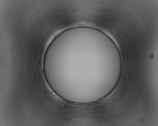 X0000091671477200708231002
