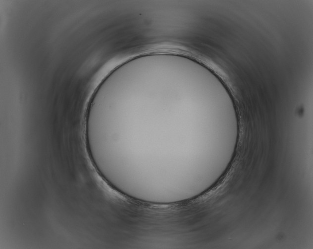 X0000091671478200708231002