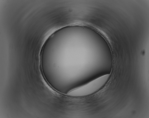 X0000091671479200708231002
