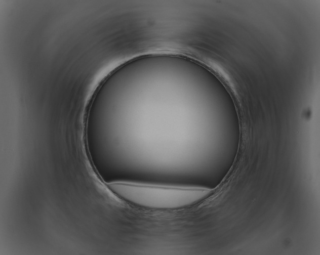 X0000091671480200708231002