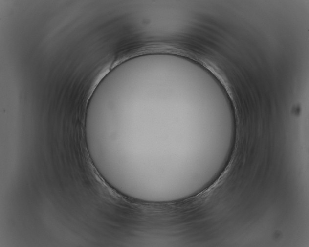 X0000091671481200708231002