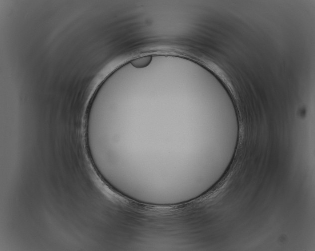 X0000091671482200708231002