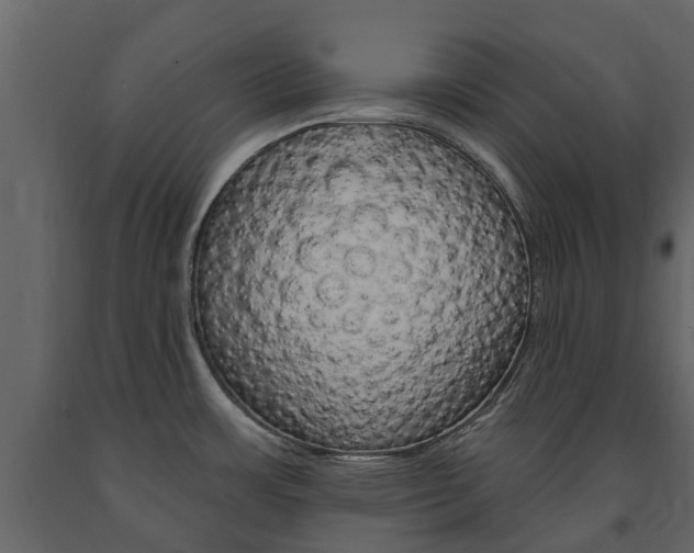 X0000091671483200708231002