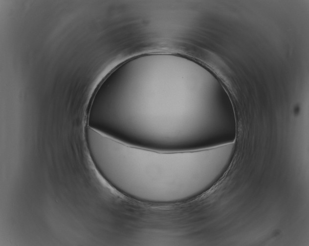 X0000091671484200708231002