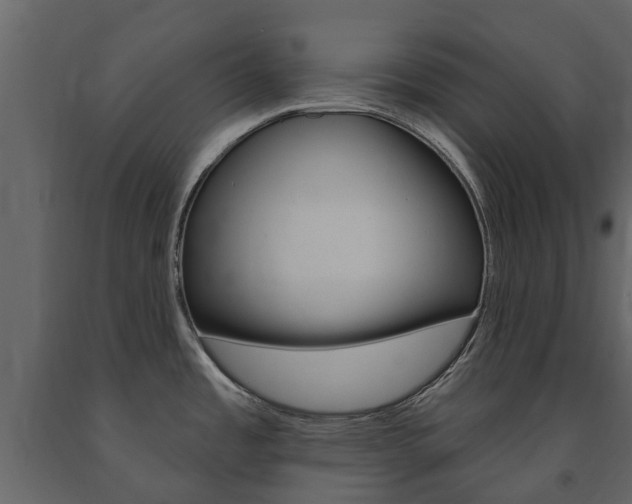 X0000091671485200708231002