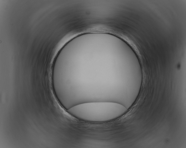 X0000091671486200708231002