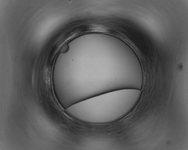 X0000091671487200708231002