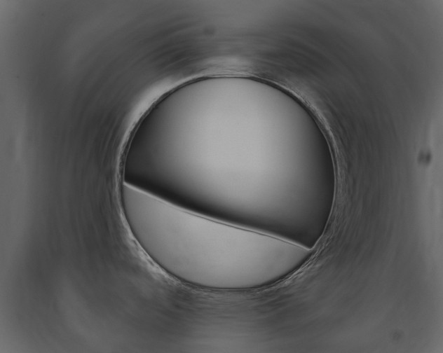 X0000091671488200708231002