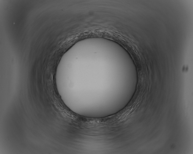 X0000091671489200708231002