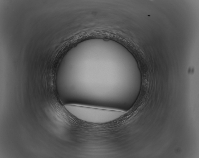 X0000091671490200708231002