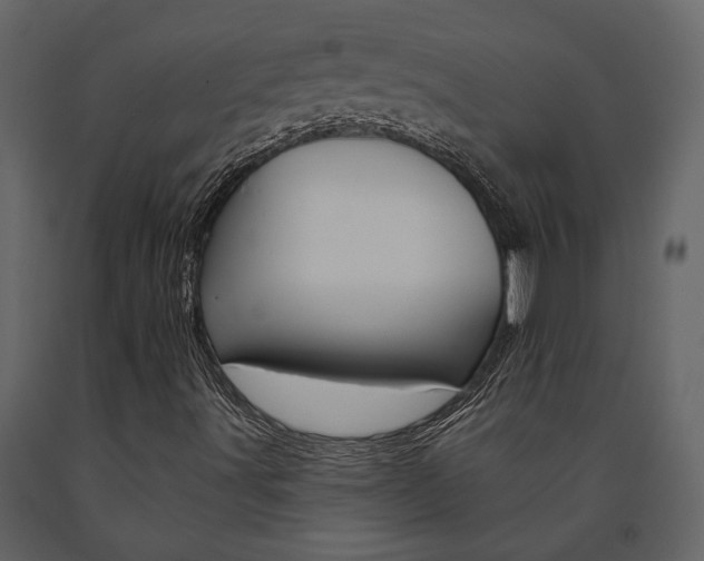 X0000091671491200708231002