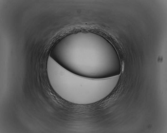 X0000091671492200708231002