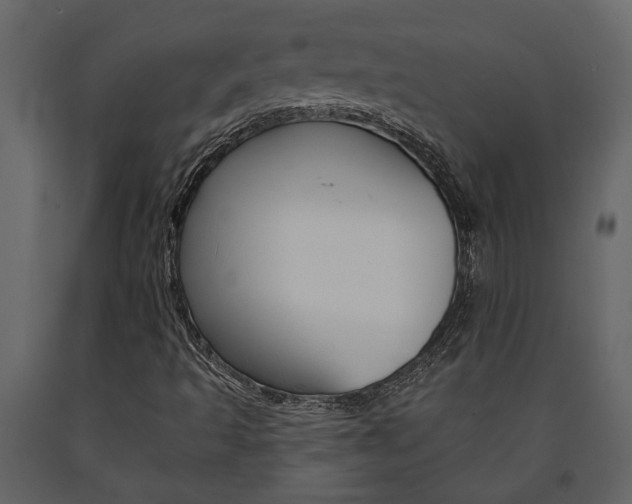 X0000091671493200708231002