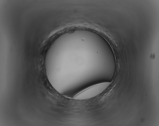 X0000091671494200708231002