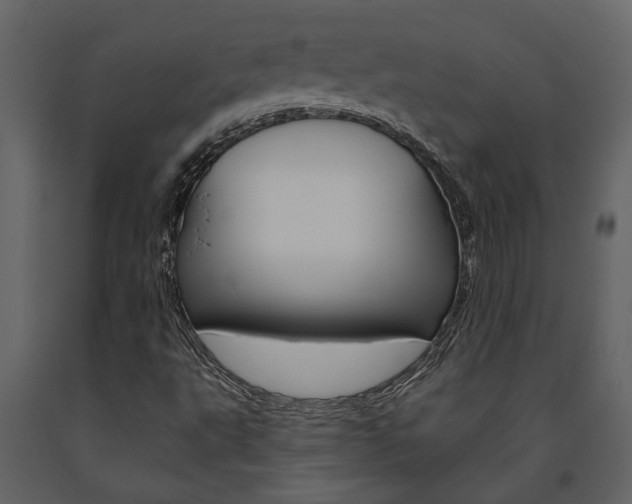 X0000091671495200708231002