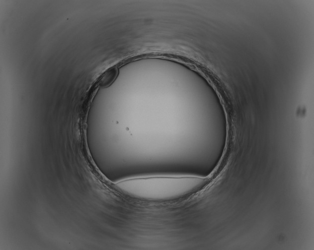 X0000091671497200708231002