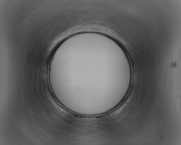 X0000091671498200708231002