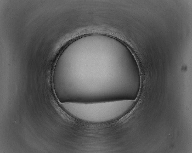 X0000091671499200708231002