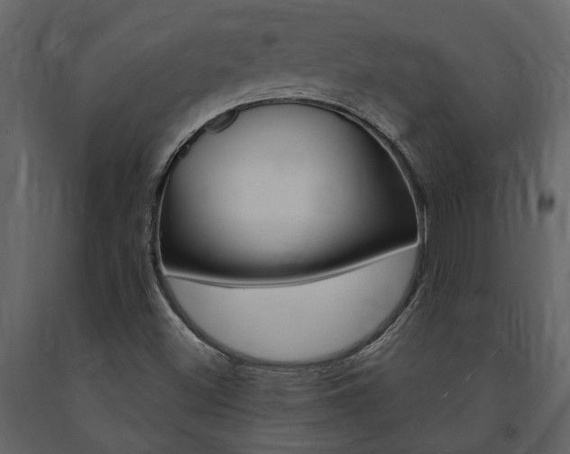 X0000091671500200708231002
