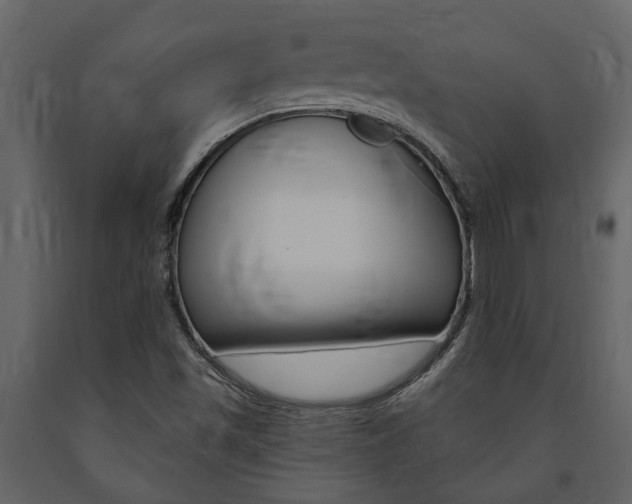 X0000091671501200708231002