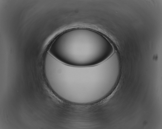 X0000091671502200708231002