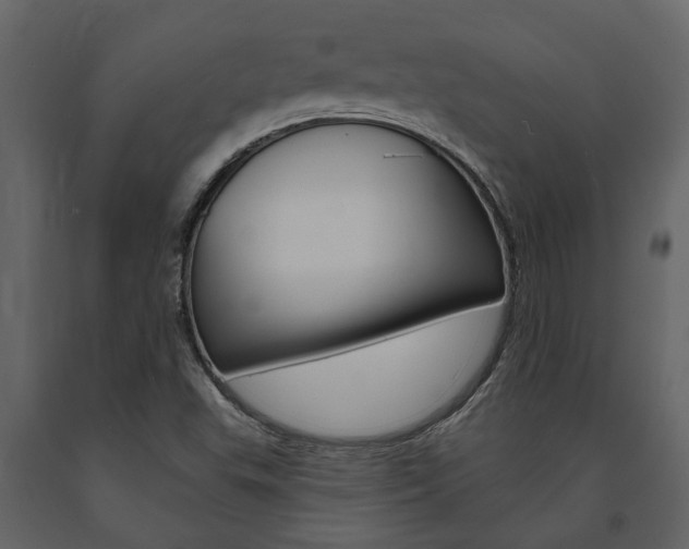 X0000091671503200708231002