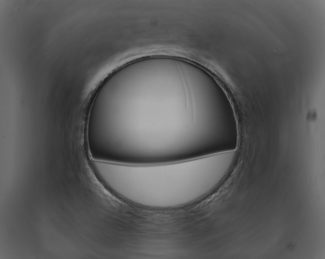 X0000091671504200708231002