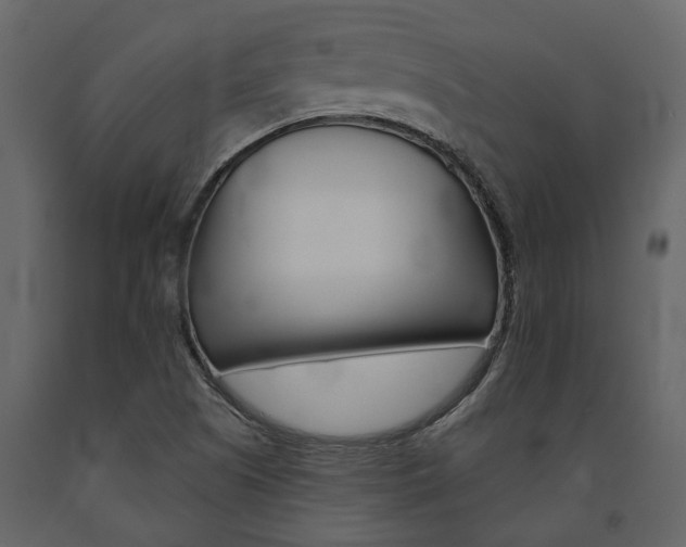 X0000091671505200708231002