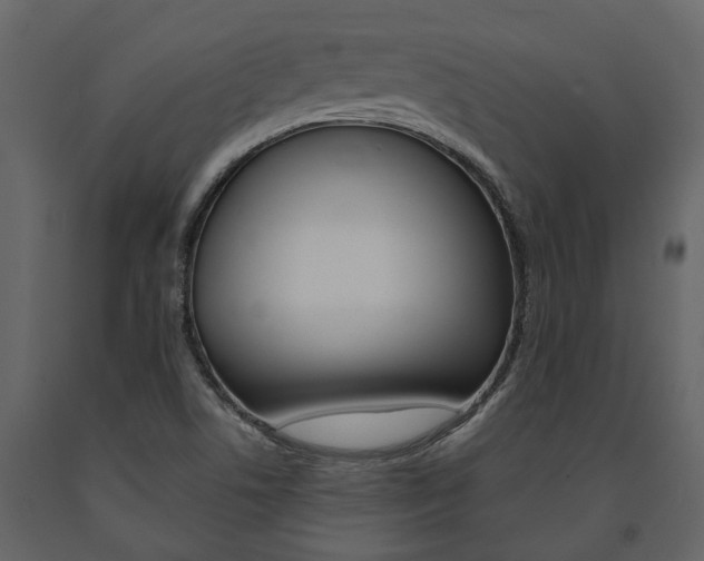 X0000091671506200708231002
