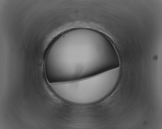 X0000091671507200708231002