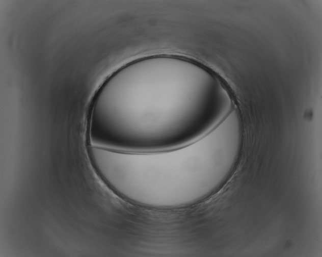 X0000091671508200708231002