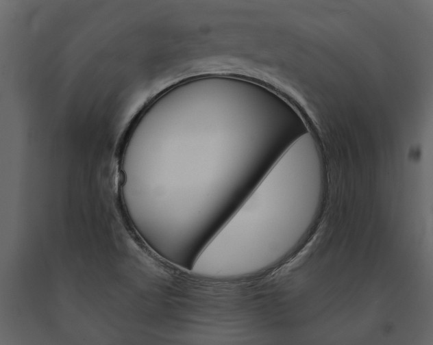 X0000091671509200708231002