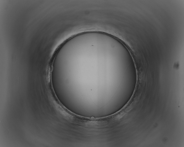 X0000091671510200708231002