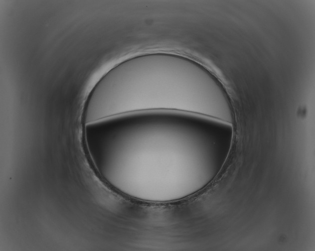 X0000091671512200708231002
