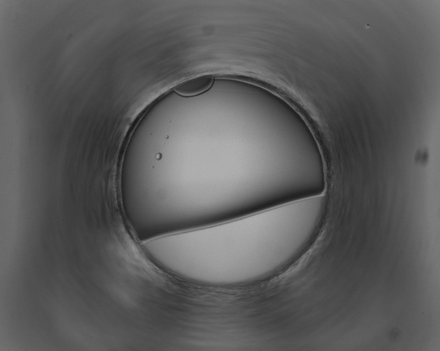 X0000091671513200708231002