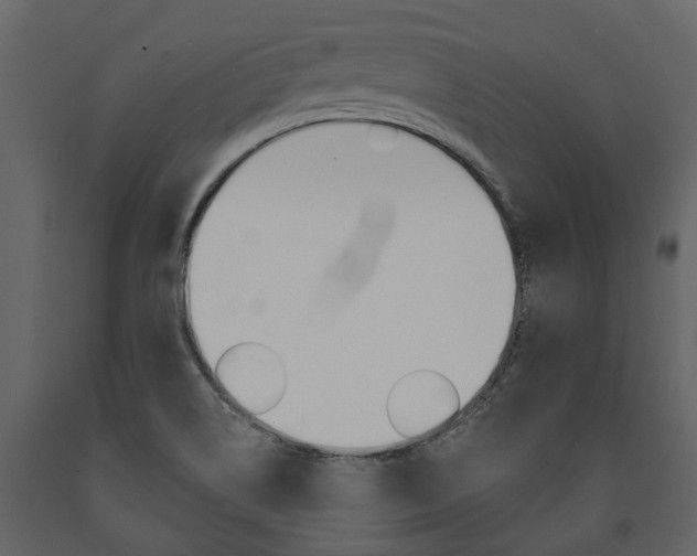 X0000091671514200708231002