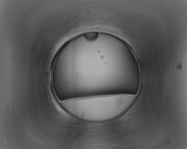X0000091671515200708231002
