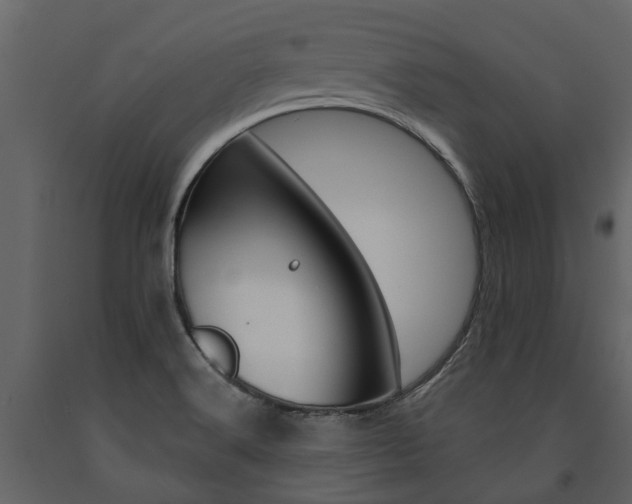 X0000091671516200708231002