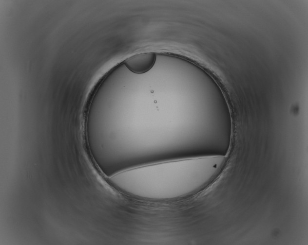 X0000091671517200708231002