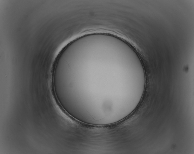 X0000091671518200708231002