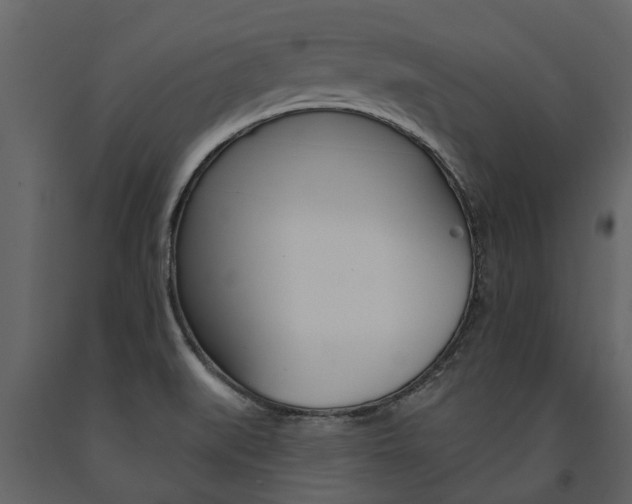 X0000091671519200708231002