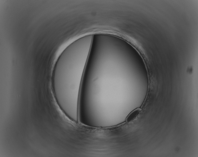 X0000091671520200708231002