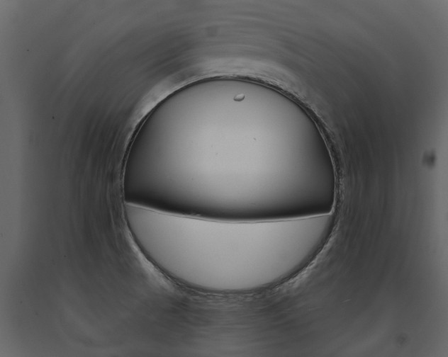 X0000091671521200708231002