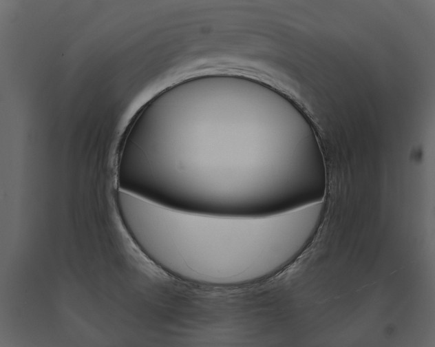 X0000091671522200708231002